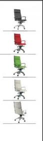 Executive_florida-2.jpg