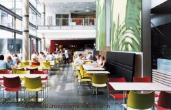 kunststoffstuehle_stuhl_kunststoff_(87).jpg