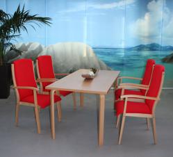stuehle_fuer_senioren_kantine_tagespflage_pflegeheim_einrichtung_(60).jpg