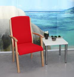 stuehle_fuer_senioren_kantine_tagespflage_pflegeheim_einrichtung_(42).jpg