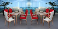 stuehle_fuer_senioren_kantine_tagespflage_pflegeheim_einrichtung_(62).jpg