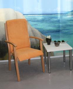 stuehle_fuer_senioren_kantine_tagespflage_pflegeheim_einrichtung_(51).jpg