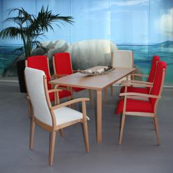 stuehle_fuer_senioren_kantine_tagespflage_pflegeheim_einrichtung_(61).jpg